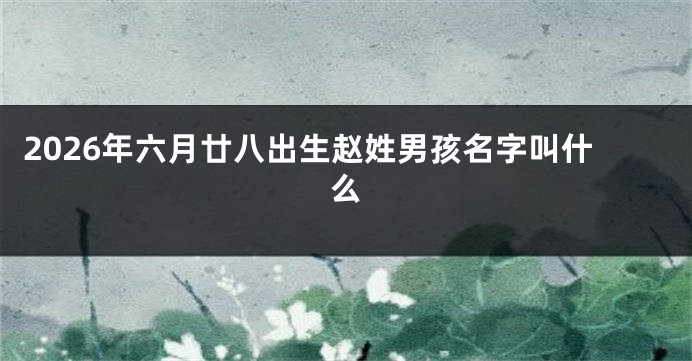 2026年六月廿八出生赵姓男孩名字叫什么