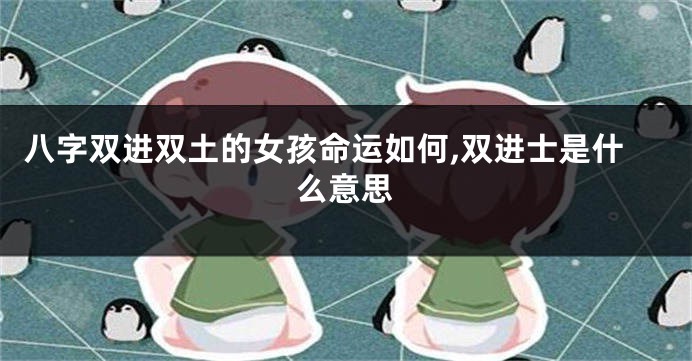 八字双进双土的女孩命运如何,双进士是什么意思