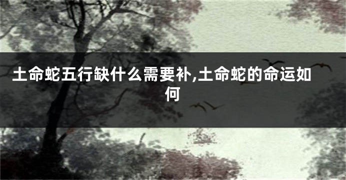 土命蛇五行缺什么需要补,土命蛇的命运如何