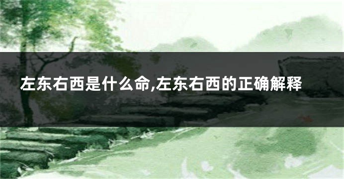 左东右西是什么命,左东右西的正确解释