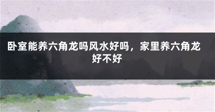 卧室能养六角龙吗风水好吗，家里养六角龙好不好