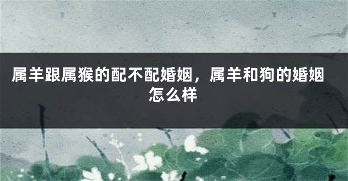 属羊跟属猴的配不配婚姻，属羊和狗的婚姻怎么样