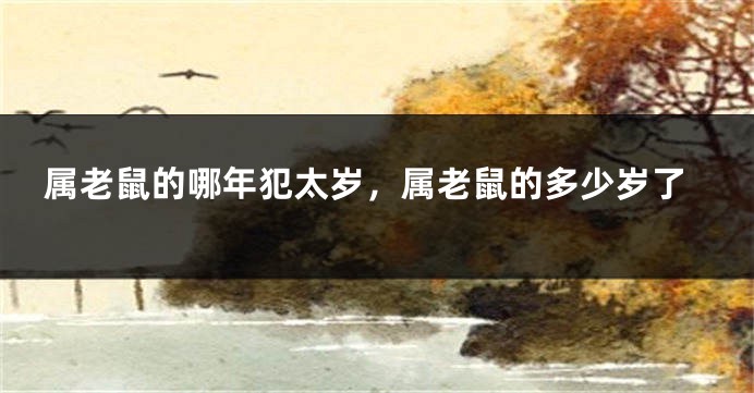属老鼠的哪年犯太岁，属老鼠的多少岁了
