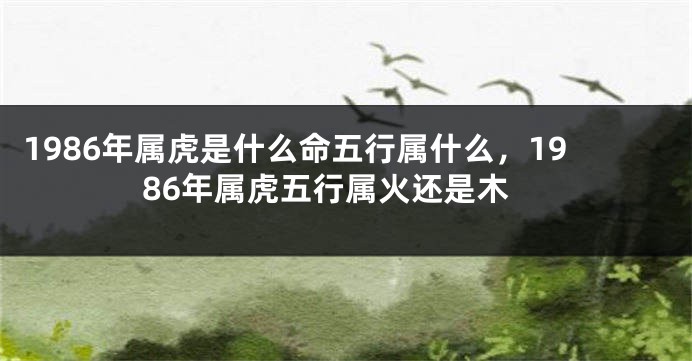 1986年属虎是什么命五行属什么，1986年属虎五行属火还是木