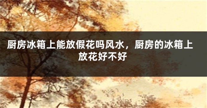 厨房冰箱上能放假花吗风水，厨房的冰箱上放花好不好
