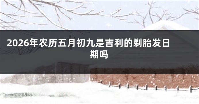 2026年农历五月初九是吉利的剃胎发日期吗