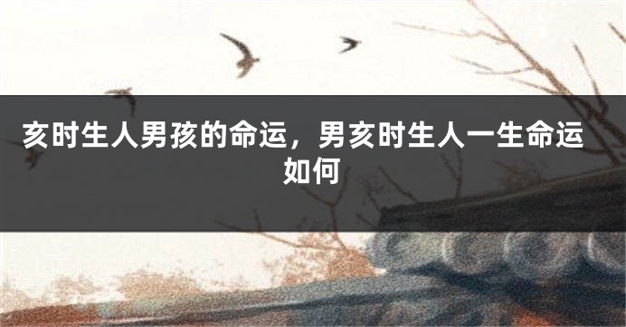 亥时生人男孩的命运，男亥时生人一生命运如何