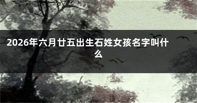 2026年六月廿五出生石姓女孩名字叫什么