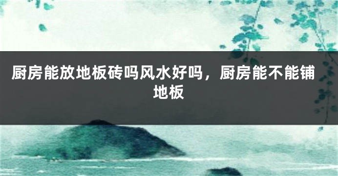 厨房能放地板砖吗风水好吗，厨房能不能铺地板