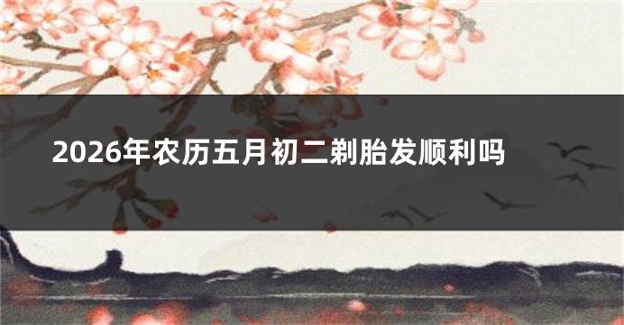 2026年农历五月初二剃胎发顺利吗