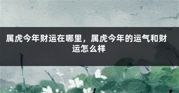 属虎今年财运在哪里,属虎今年的运气和财运怎么样