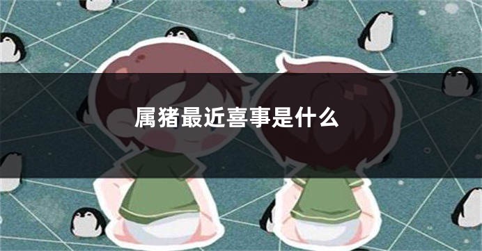 属猪最近喜事是什么