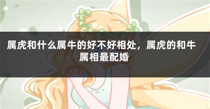 属虎和什么属牛的好不好相处，属虎的和牛属相最配婚