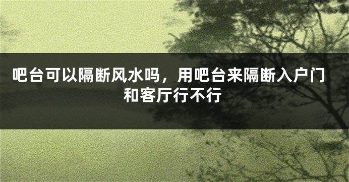 吧台可以隔断风水吗，用吧台来隔断入户门和客厅行不行