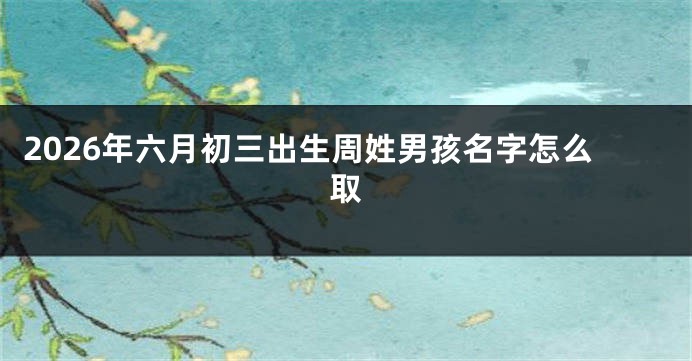 2026年六月初三出生周姓男孩名字怎么取