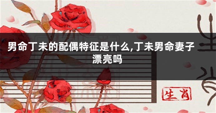 男命丁未的配偶特征是什么,丁未男命妻子漂亮吗