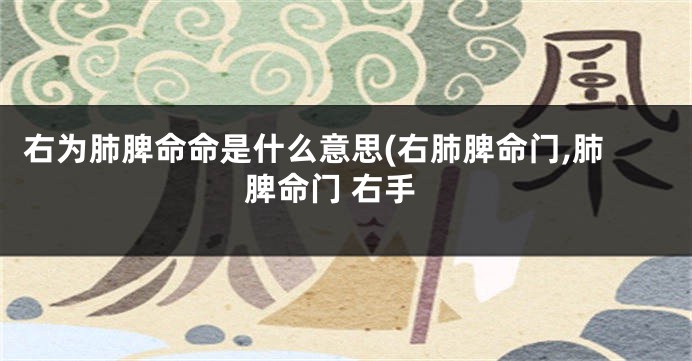 右为肺脾命命是什么意思(右肺脾命门,肺脾命门 右手