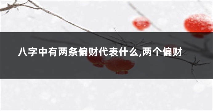 八字中有两条偏财代表什么,两个偏财