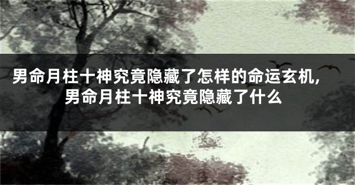 男命月柱十神究竟隐藏了怎样的命运玄机,男命月柱十神究竟隐藏了什么