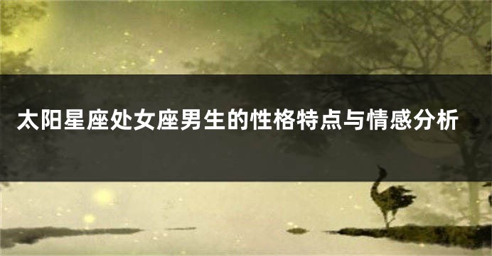 太阳星座处女座男生的性格特点与情感分析