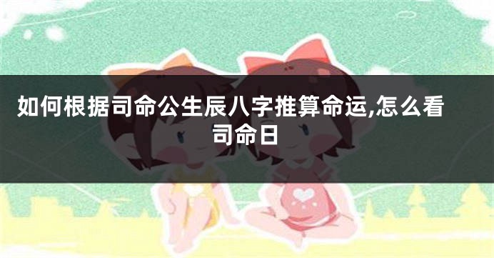 如何根据司命公生辰八字推算命运,怎么看司命日