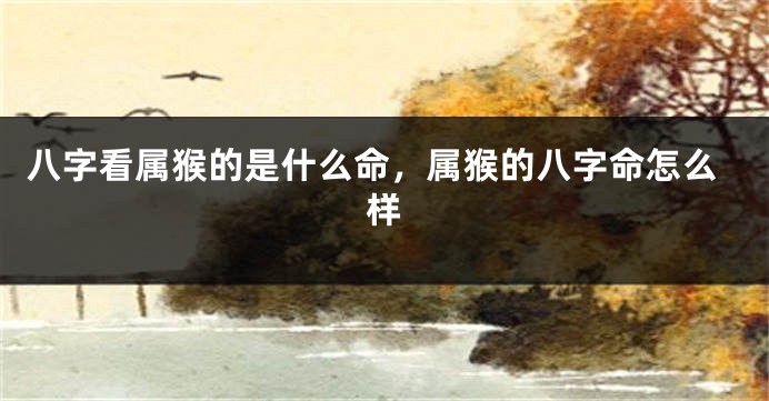 八字看属猴的是什么命，属猴的八字命怎么样