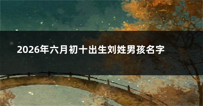 2026年六月初十出生刘姓男孩名字
