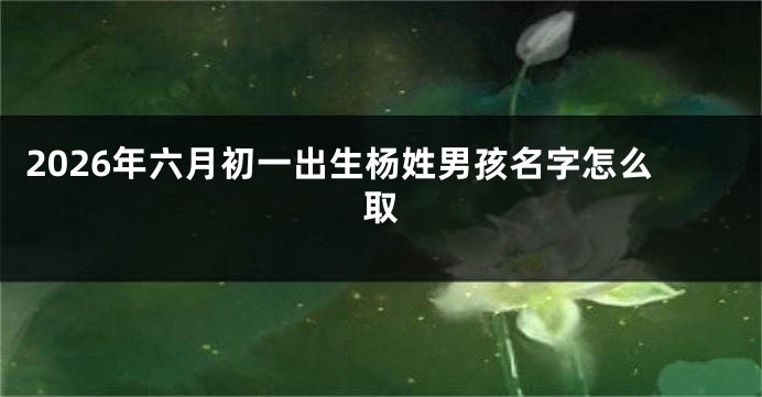 2026年六月初一出生杨姓男孩名字怎么取