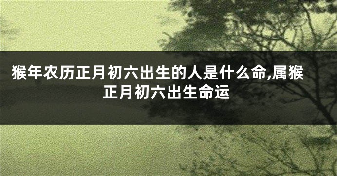 猴年农历正月初六出生的人是什么命,属猴正月初六出生命运