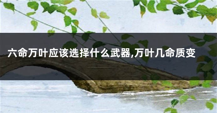 六命万叶应该选择什么武器,万叶几命质变