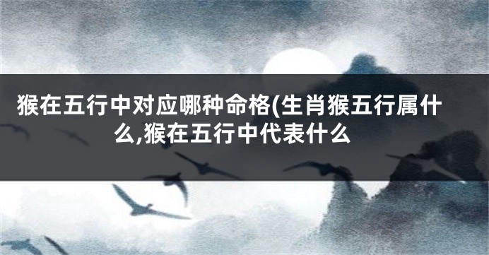 猴在五行中对应哪种命格(生肖猴五行属什么,猴在五行中代表什么