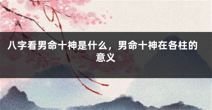 八字看男命十神是什么，男命十神在各柱的意义