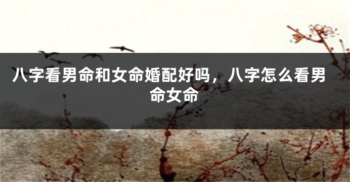 八字看男命和女命婚配好吗，八字怎么看男命女命