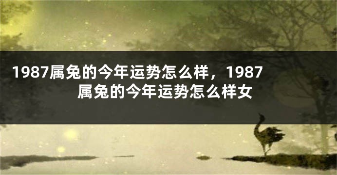 1987属兔的今年运势怎么样，1987属兔的今年运势怎么样女