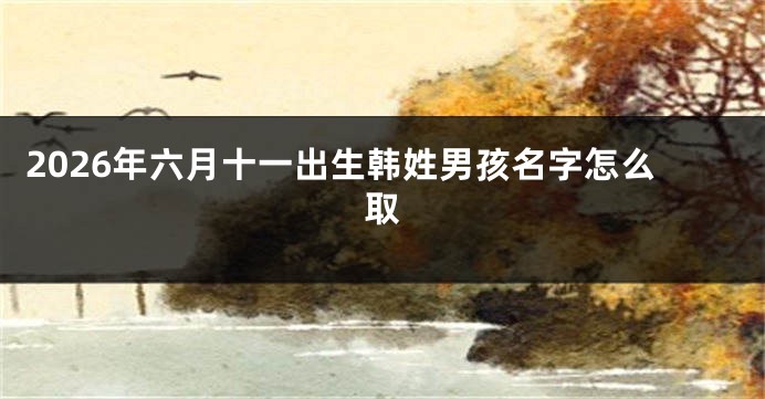 2026年六月十一出生韩姓男孩名字怎么取