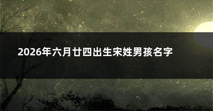 2026年六月廿四出生宋姓男孩名字