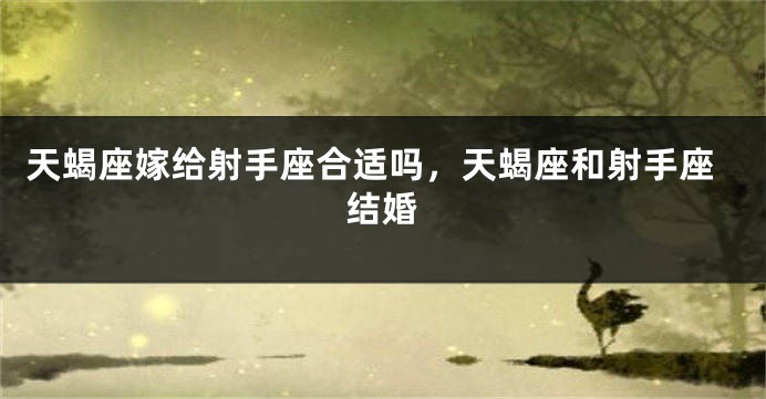 天蝎座嫁给射手座合适吗，天蝎座和射手座结婚