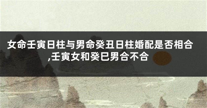 女命壬寅日柱与男命癸丑日柱婚配是否相合,壬寅女和癸巳男合不合