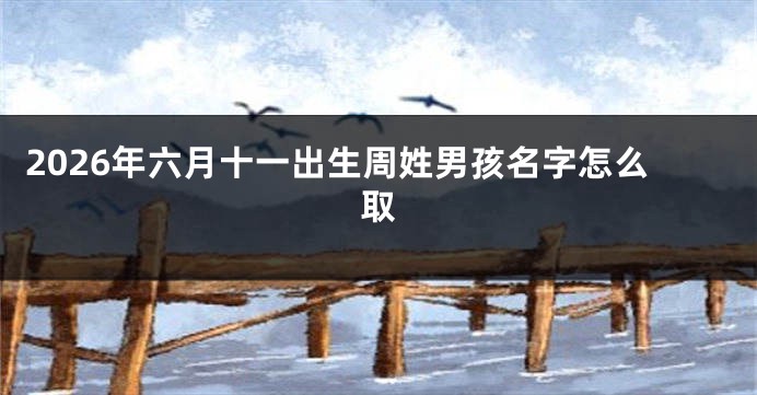 2026年六月十一出生周姓男孩名字怎么取