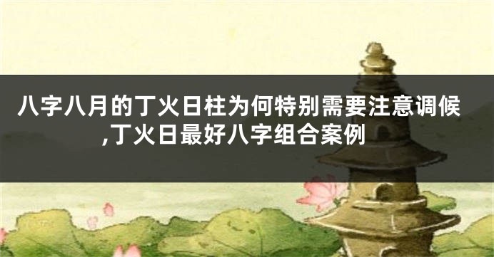 八字八月的丁火日柱为何特别需要注意调候,丁火日最好八字组合案例