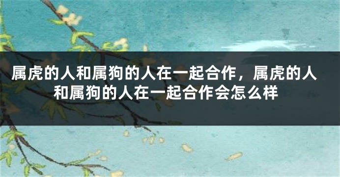 属虎的人和属狗的人在一起合作,属虎的人和属狗的人在一起合作会怎么样