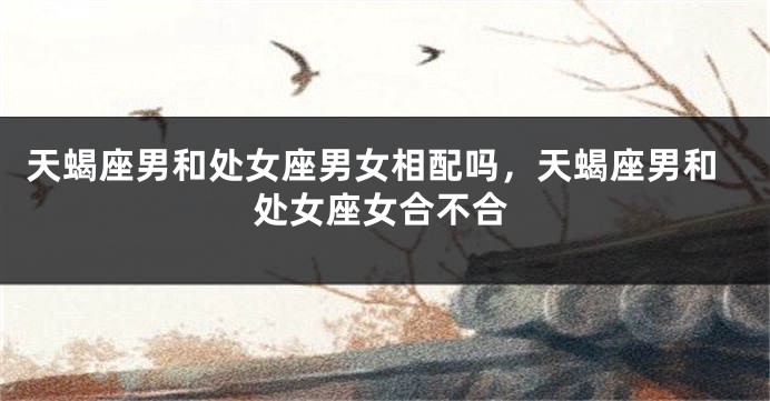 天蝎座男和处女座男女相配吗，天蝎座男和处女座女合不合