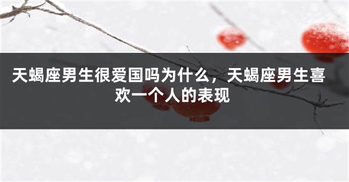 天蝎座男生很爱国吗为什么,天蝎座男生喜欢一个人的表现