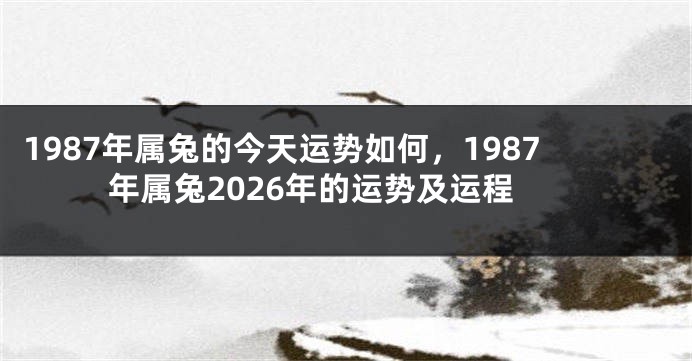 1987年属兔的今天运势如何,1987年属兔2026年的运势及运程