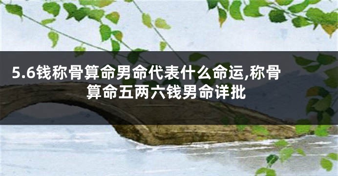 5.6钱称骨算命男命代表什么命运,称骨算命五两六钱男命详批