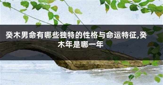 癸木男命有哪些独特的性格与命运特征,癸木年是哪一年