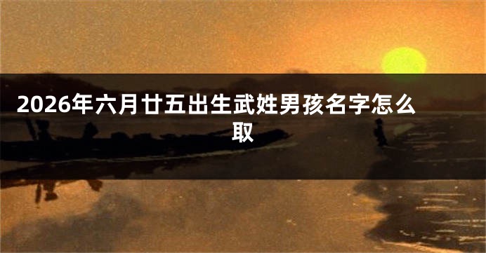 2026年六月廿五出生武姓男孩名字怎么取
