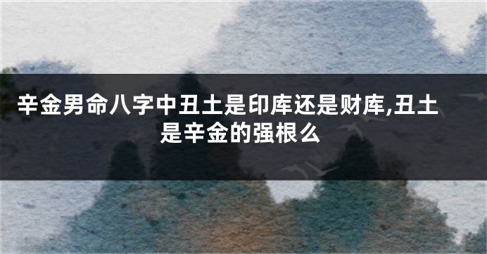 辛金男命八字中丑土是印库还是财库,丑土是辛金的强根么