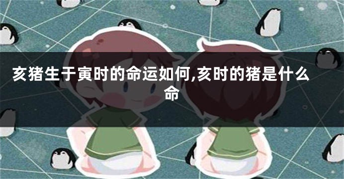 亥猪生于寅时的命运如何,亥时的猪是什么命