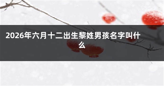 2026年六月十二出生黎姓男孩名字叫什么